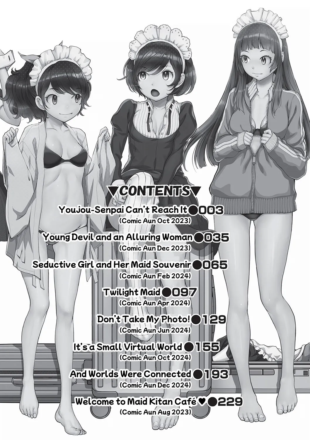Cosplay Maid ga Ikagawashii page 3
