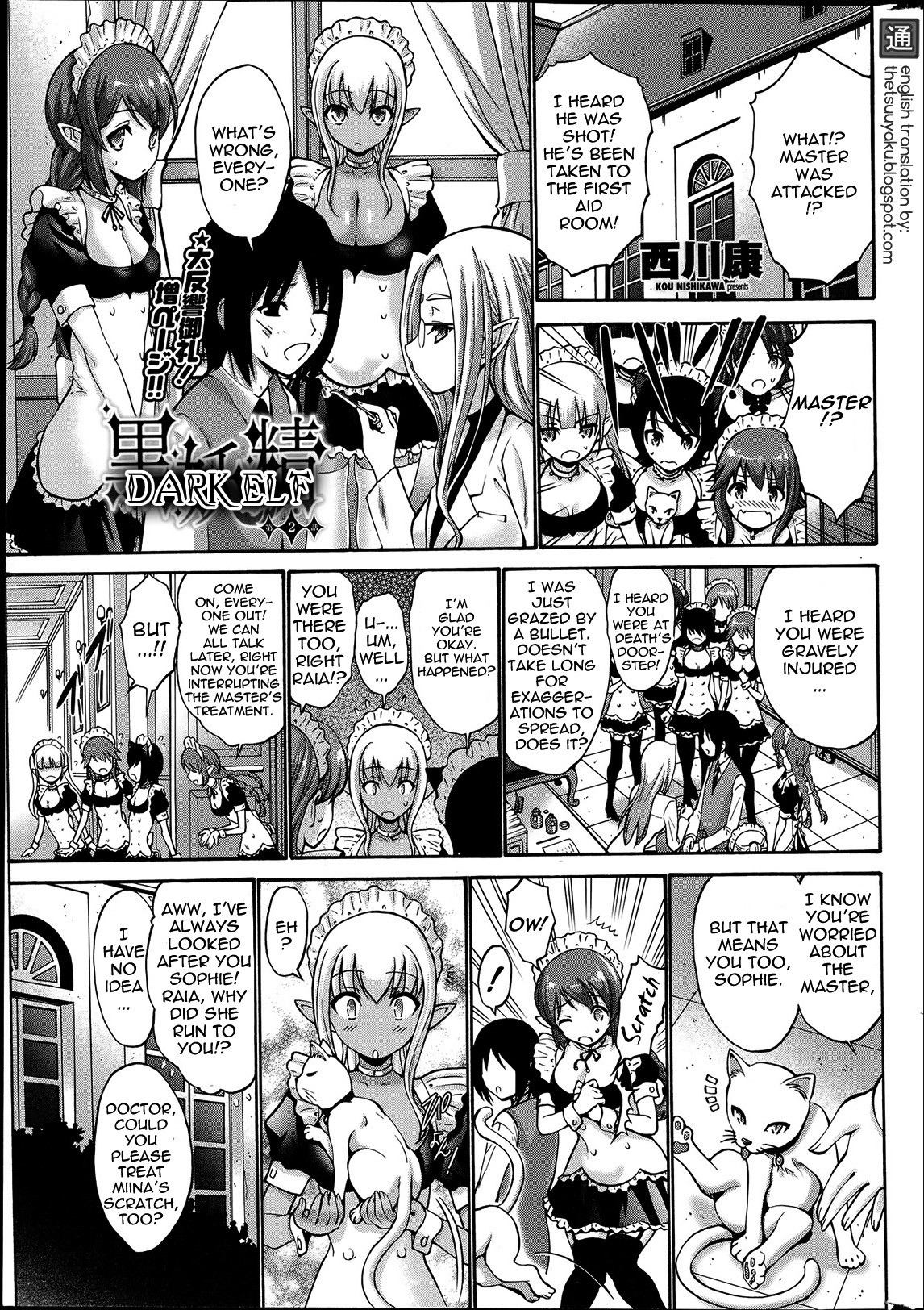 Dark Elf page 24