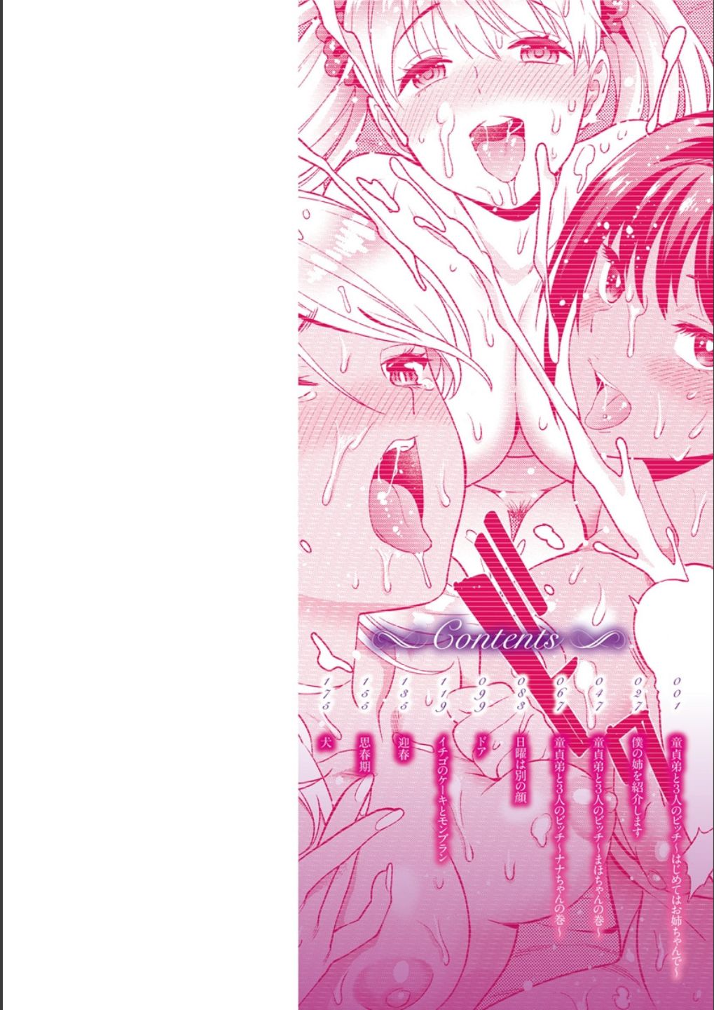 Doutei Otouto to Bitch Ane - The cherry boy with Bitch sister. page 2