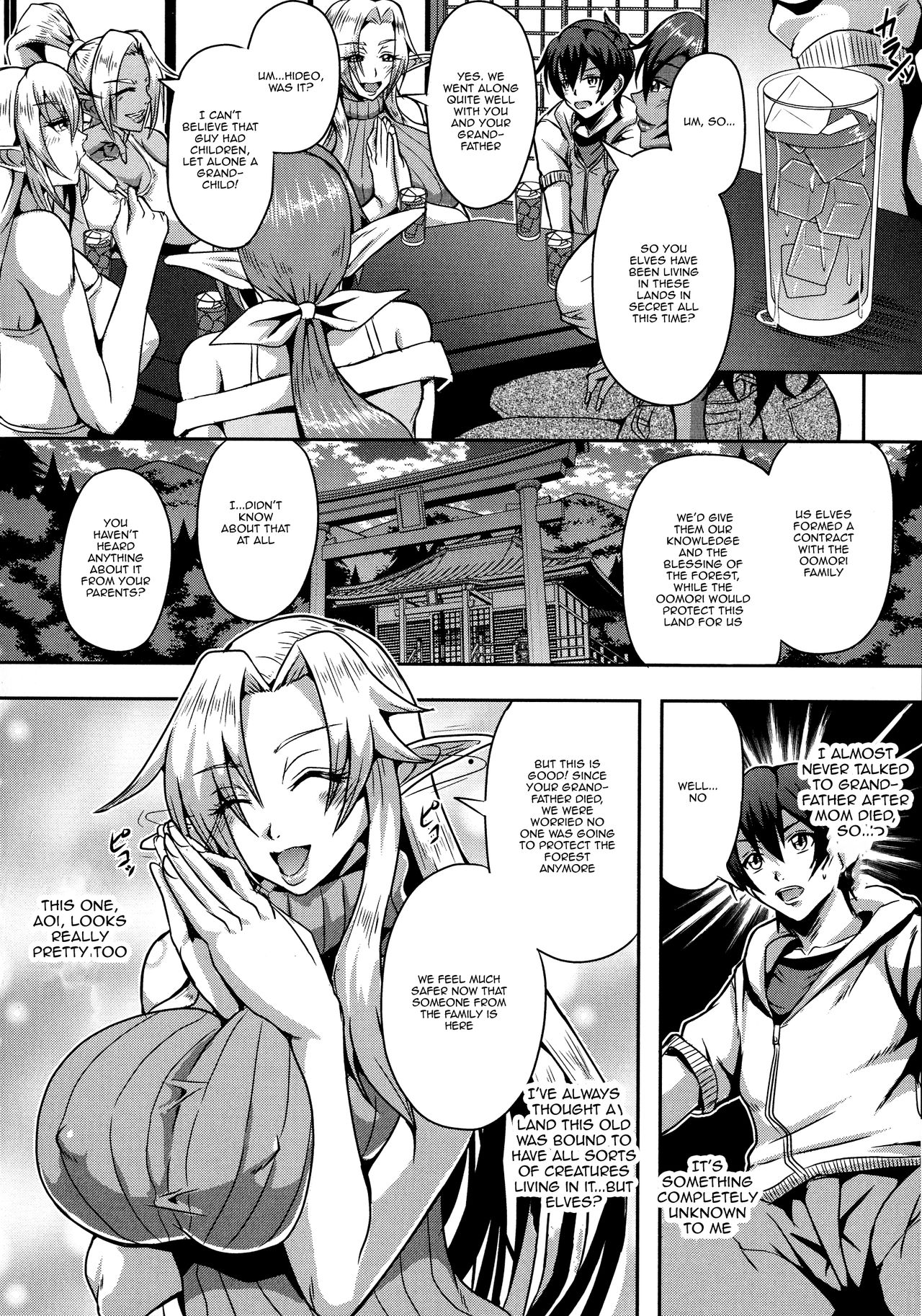 Elf Harem Monogatari - Elf Harem Story page 10