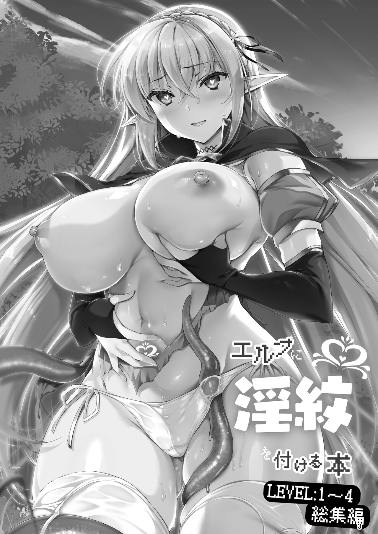 Elf ni Inmon o Tsukeru Hon LEVEL:1~4 Soushuuhen page 3