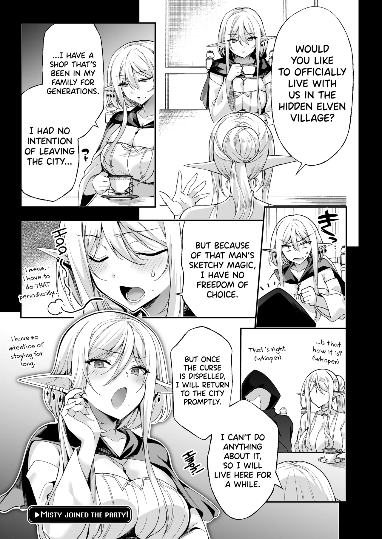 Elf ni Inmon o Tsukeru Hon LEVEL:8 page 17