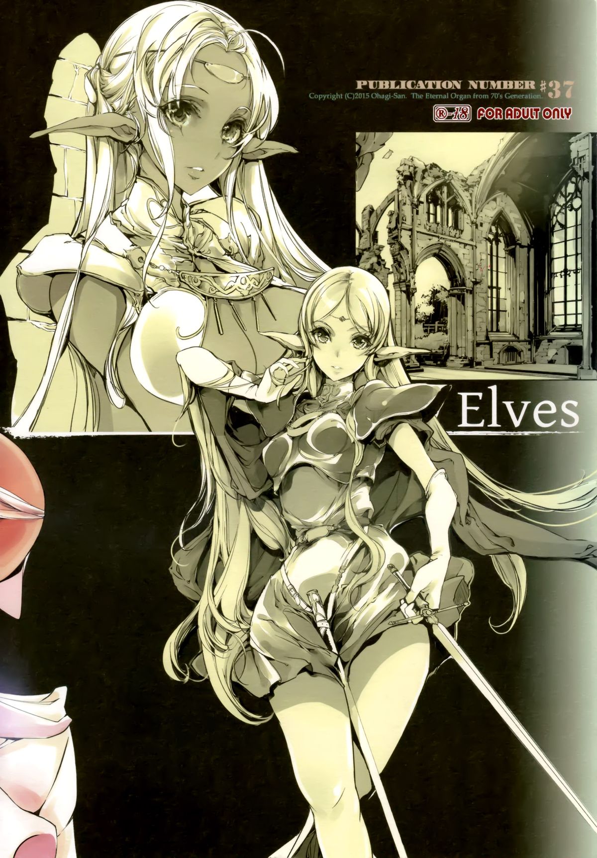 Elves page 41