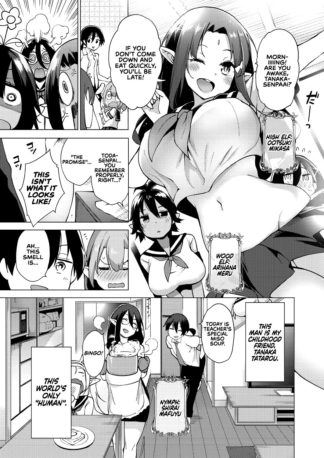 Fairy Harem Explosion Ch. 1 page 4