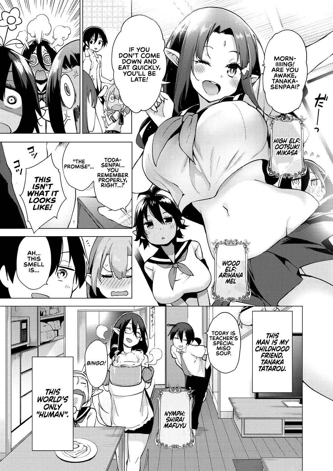 Fairy Harem Explosion Ch. 1 page 3