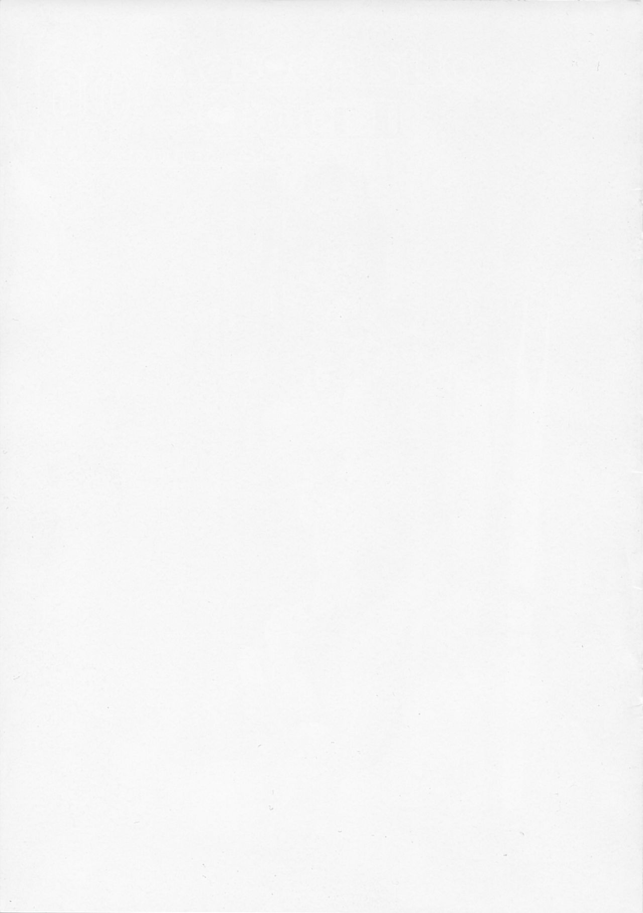 FATE MASOCHISTIC ORDER Hanayome Shugyou page 15