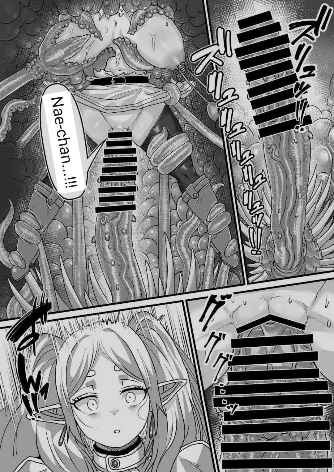 Frieren to Kankaku Shadan Ana page 13