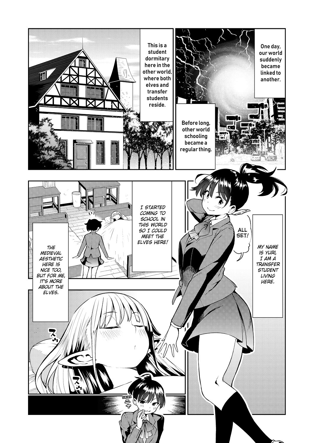 Futanari no Elf page 11