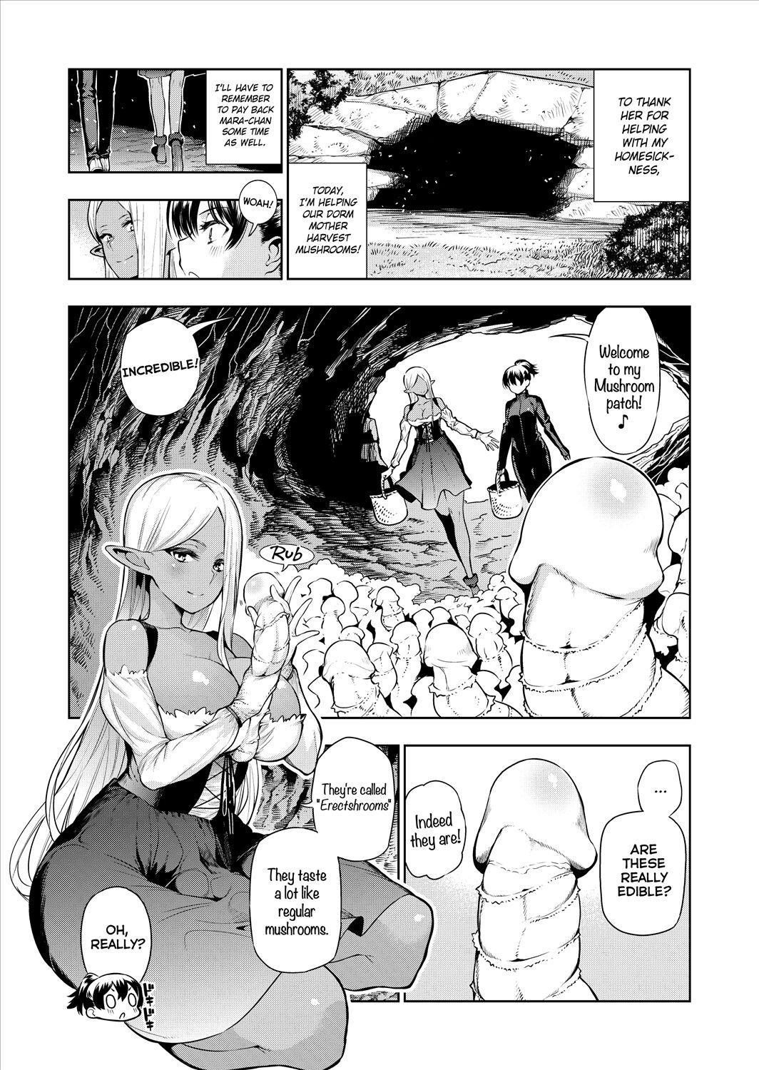 Futanari no Elf page 36