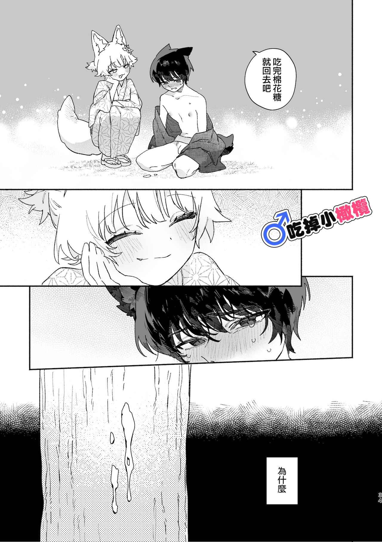 ♂ ga uke. Koyōte-chan × kai inu-kun｜♂吃掉甲斐犬。小郊狼X甲斐犬同学 page 34