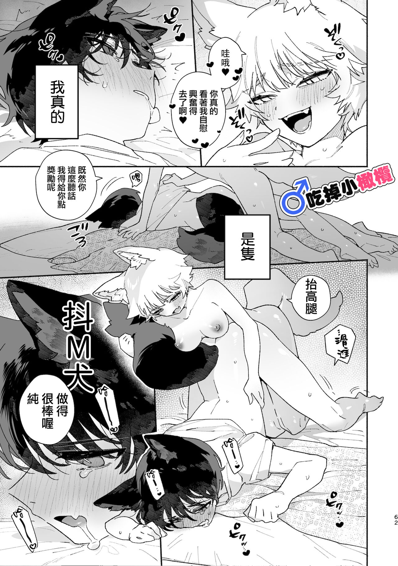 ♂ ga uke. Koyōte-chan × kai inu-kun｜♂吃掉甲斐犬。小郊狼X甲斐犬同学 page 62