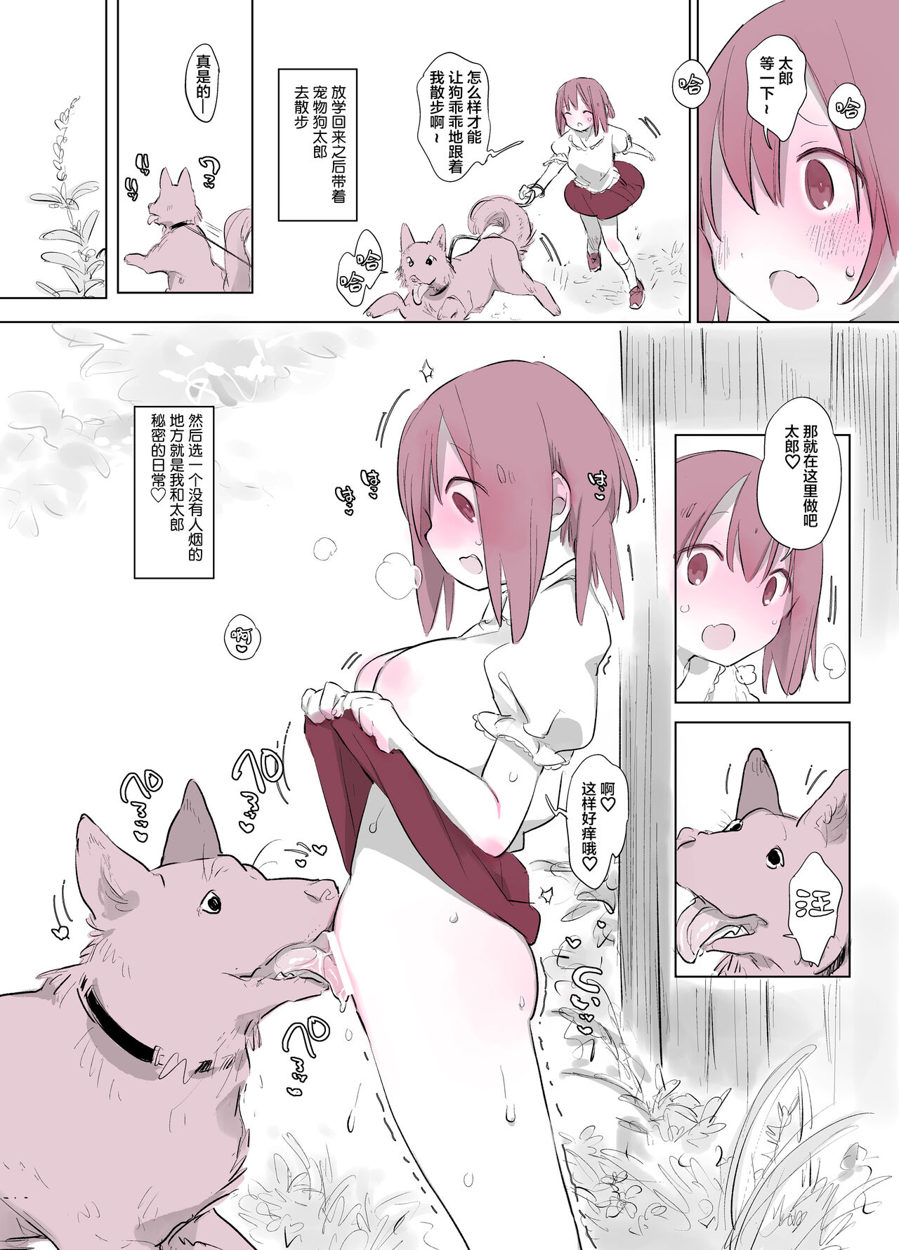 动物服务合集 page 108