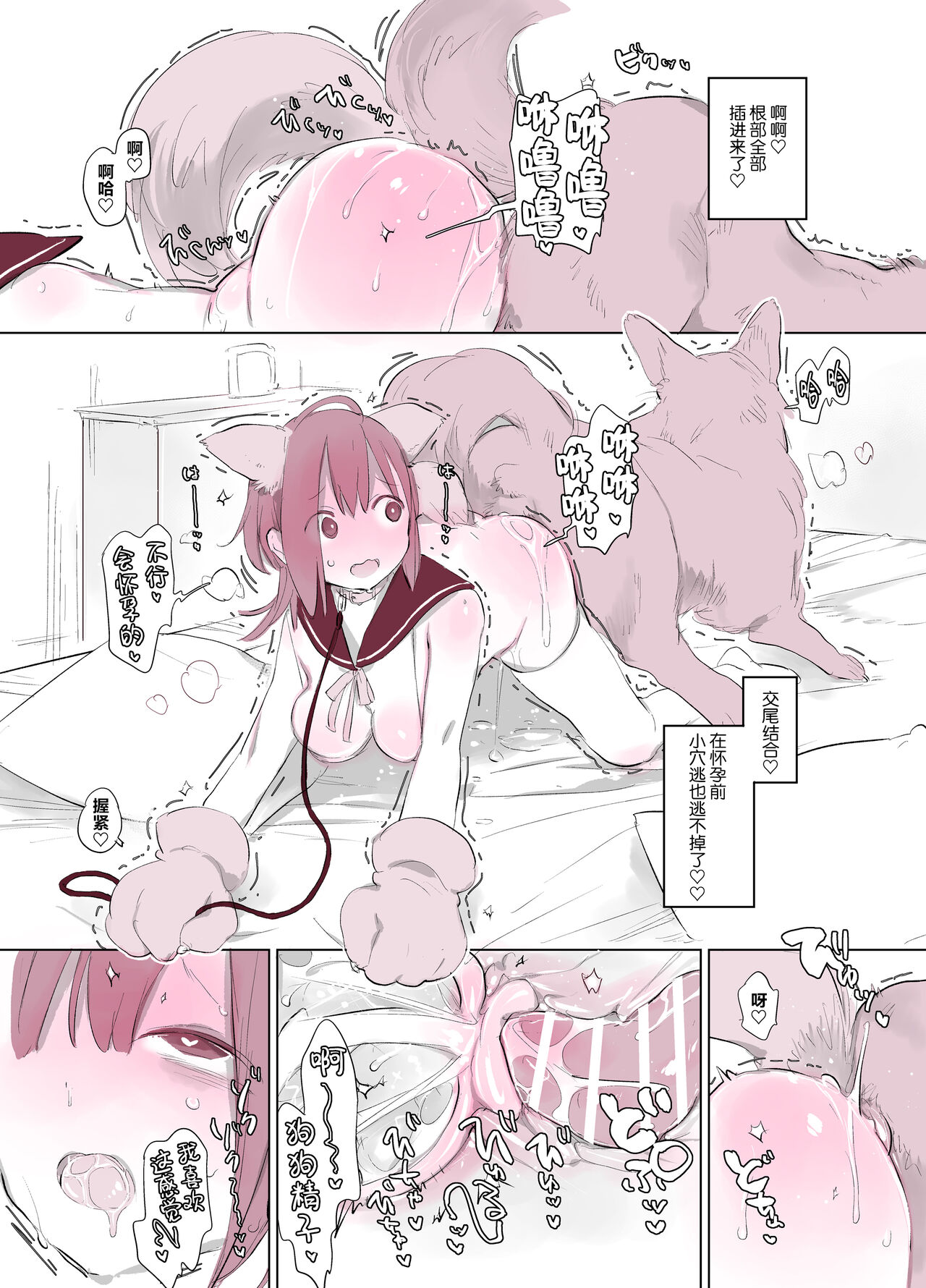 动物服务合集 page 130