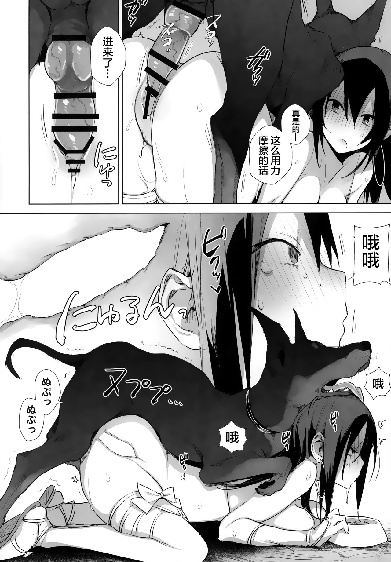 动物服务合集 page 193
