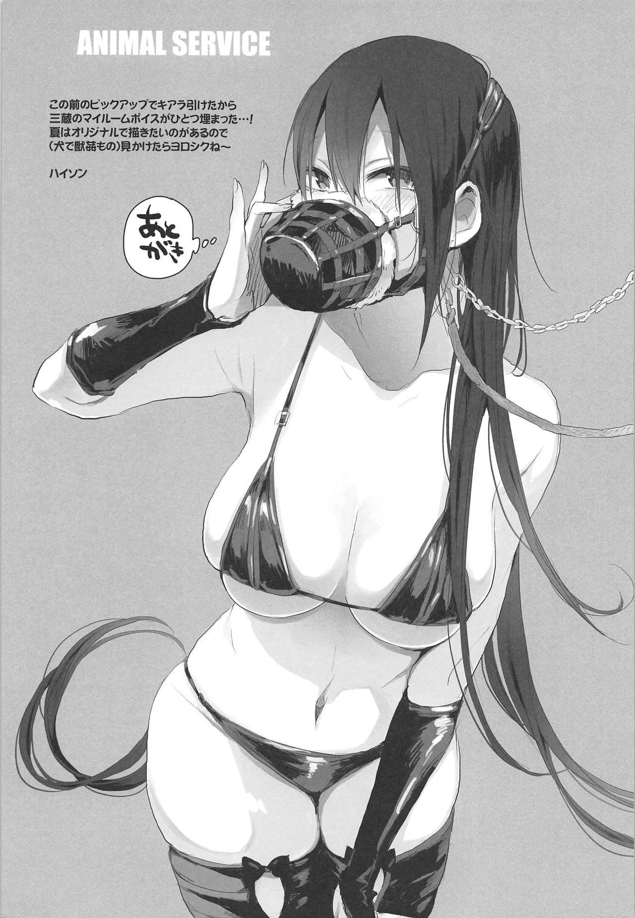 动物服务合集 page 257
