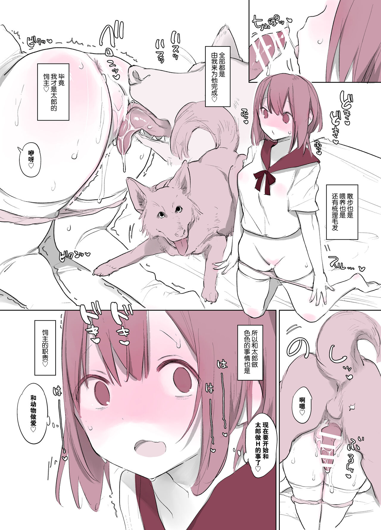 动物服务合集 page 94