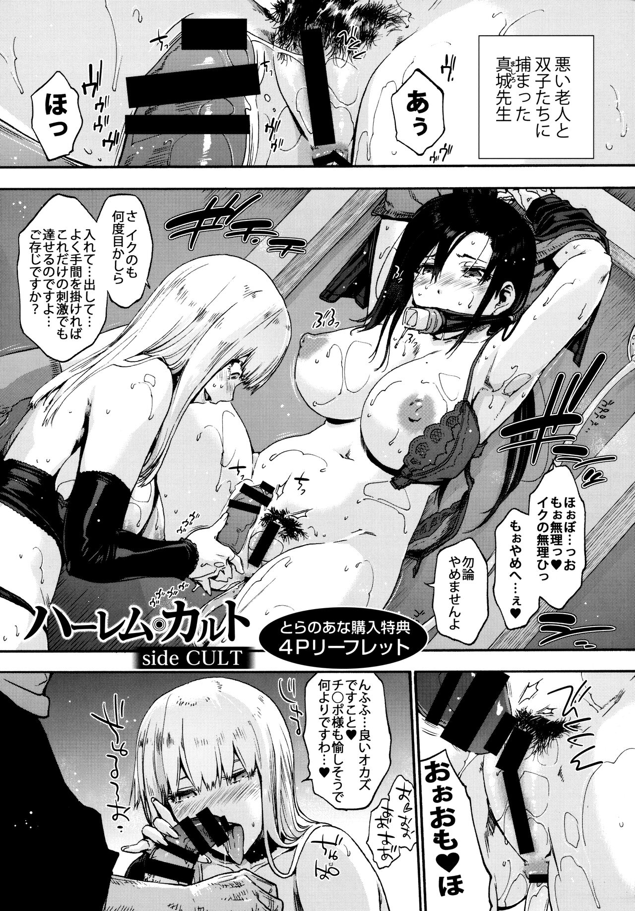 Harem Cult side CULT page 213
