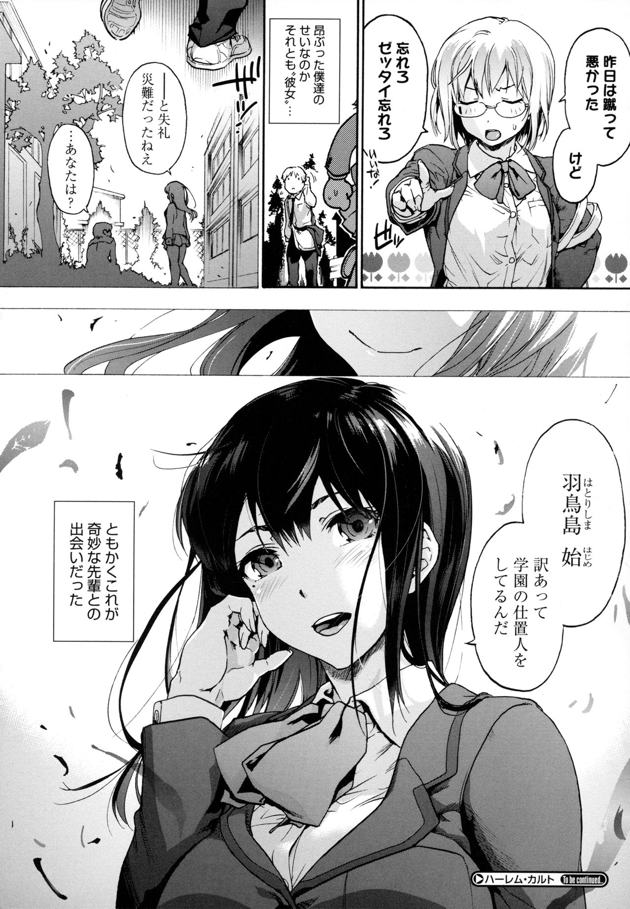 Harem Cult side HAREM page 28