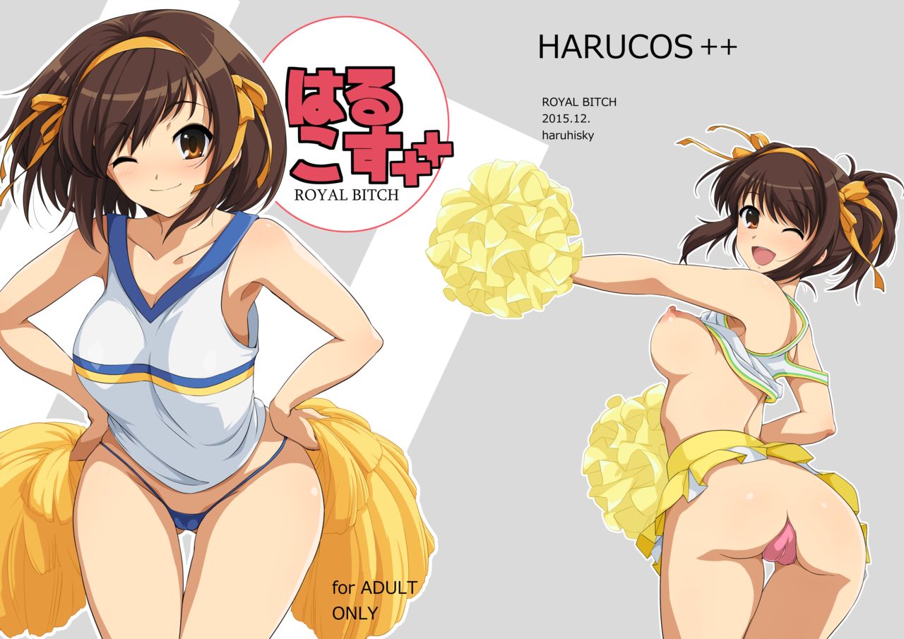 HARUCOS++ page 1
