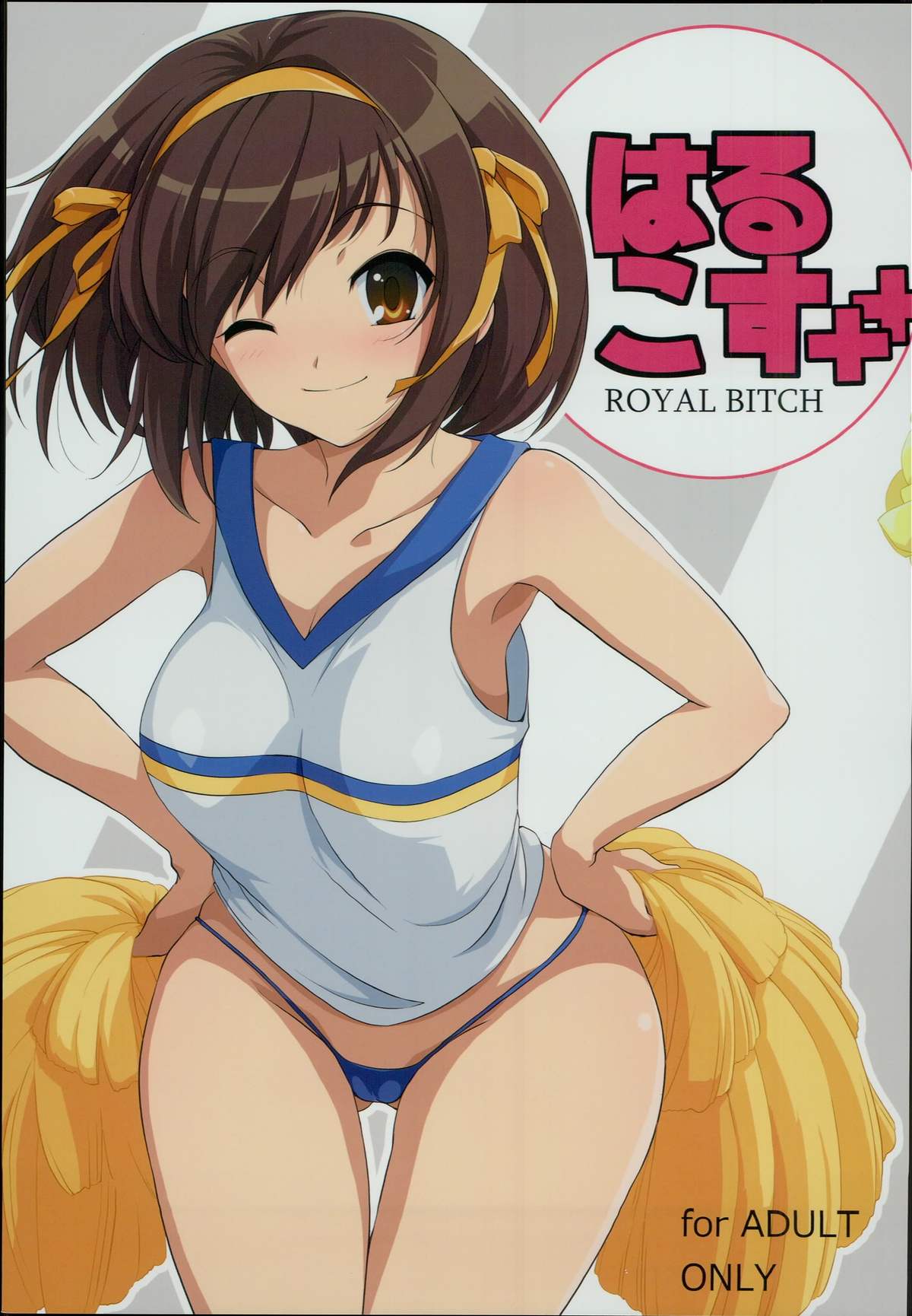 HARUCOS++ page 1