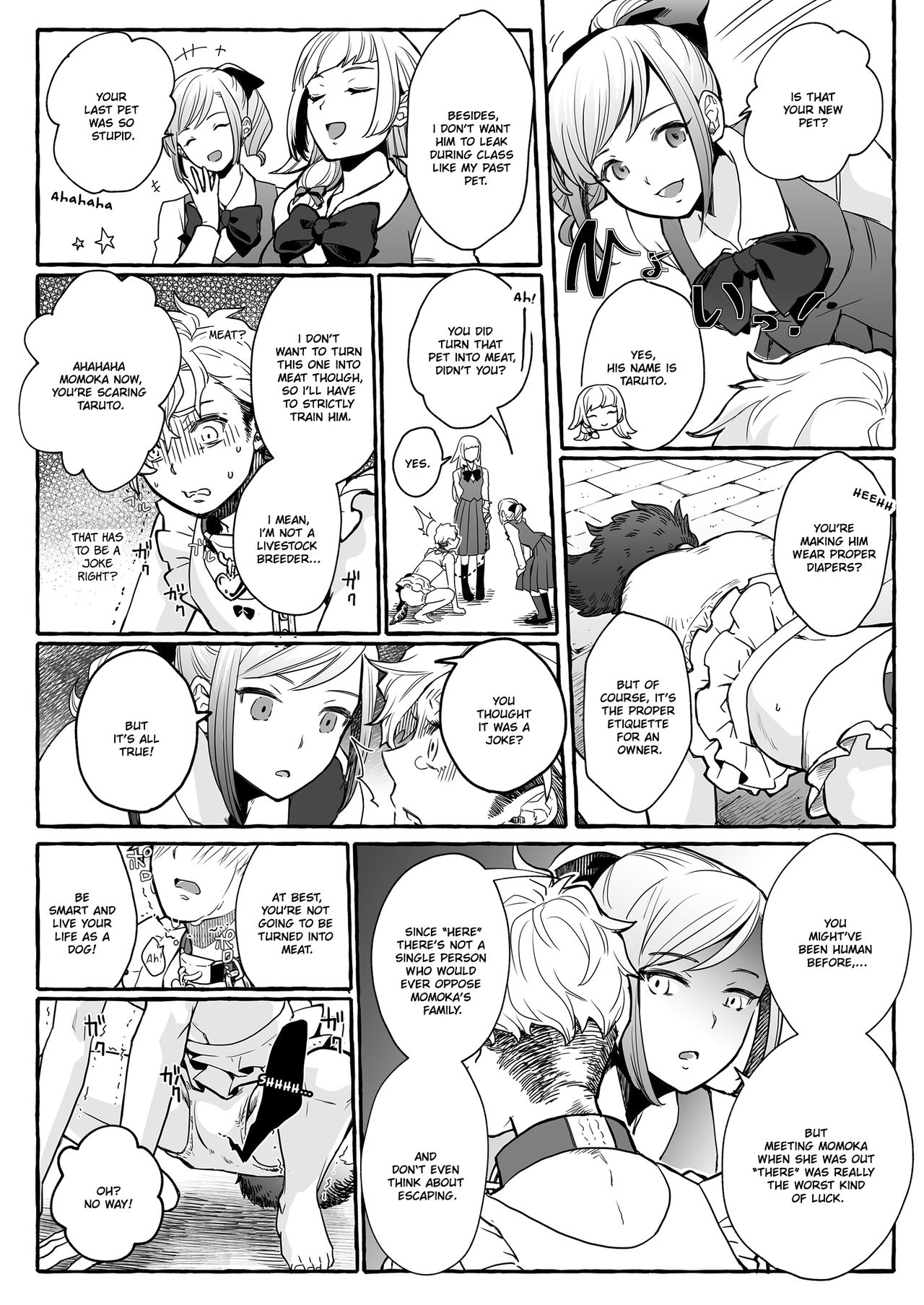 He's Set up with a Dog ~How to Raise a Loyal Bitch Bride~ page 15