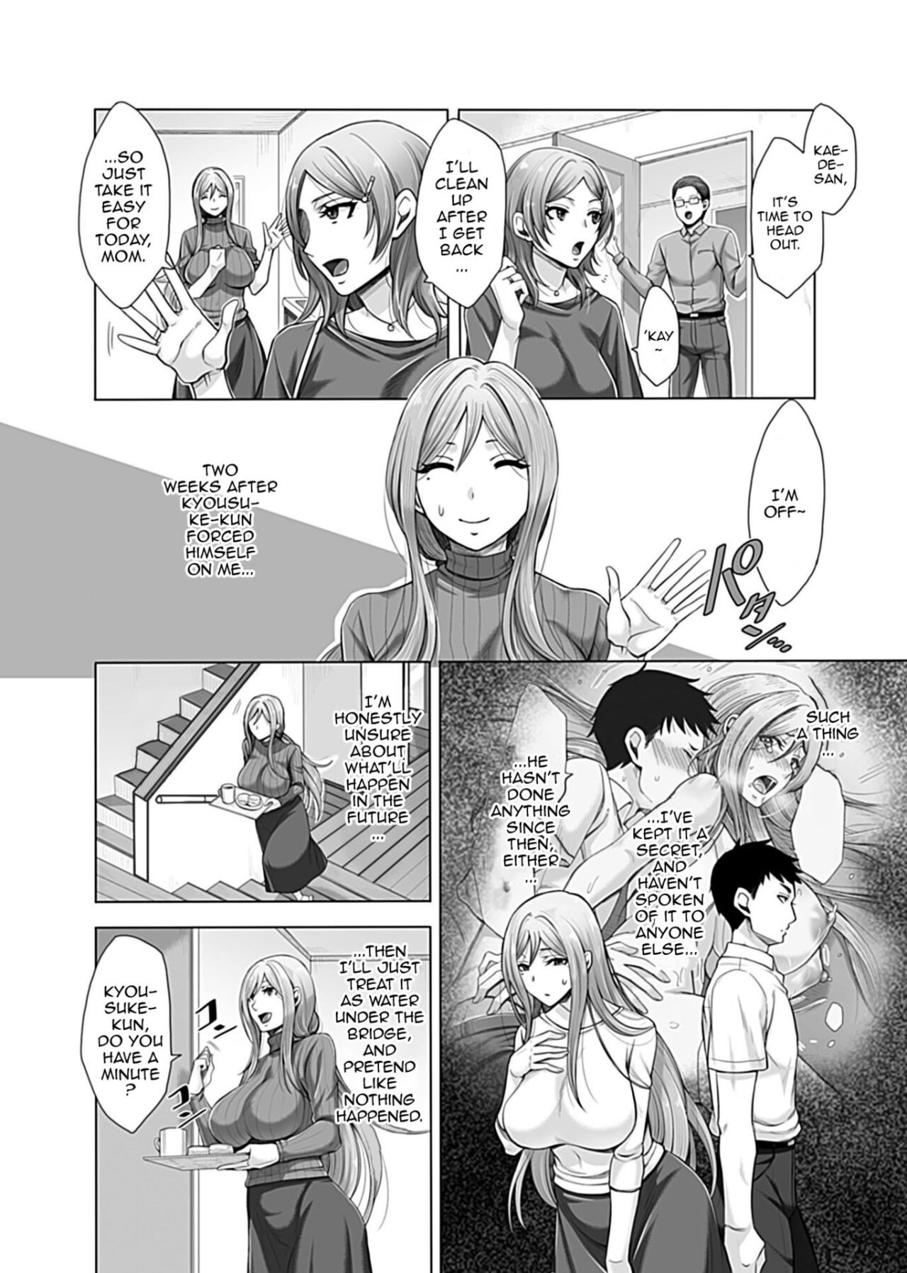 Hikawa Houshold's Distorted Sexual Relationships 2 page 3