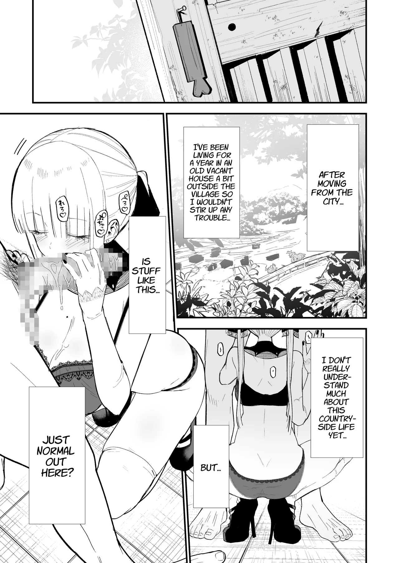 Himegoto ~ The Princess's Secret: The Secret Gothic Lolita Girl I Met In The Countryside Turned Out To Be A Plain Schoolgirl ~ page 15