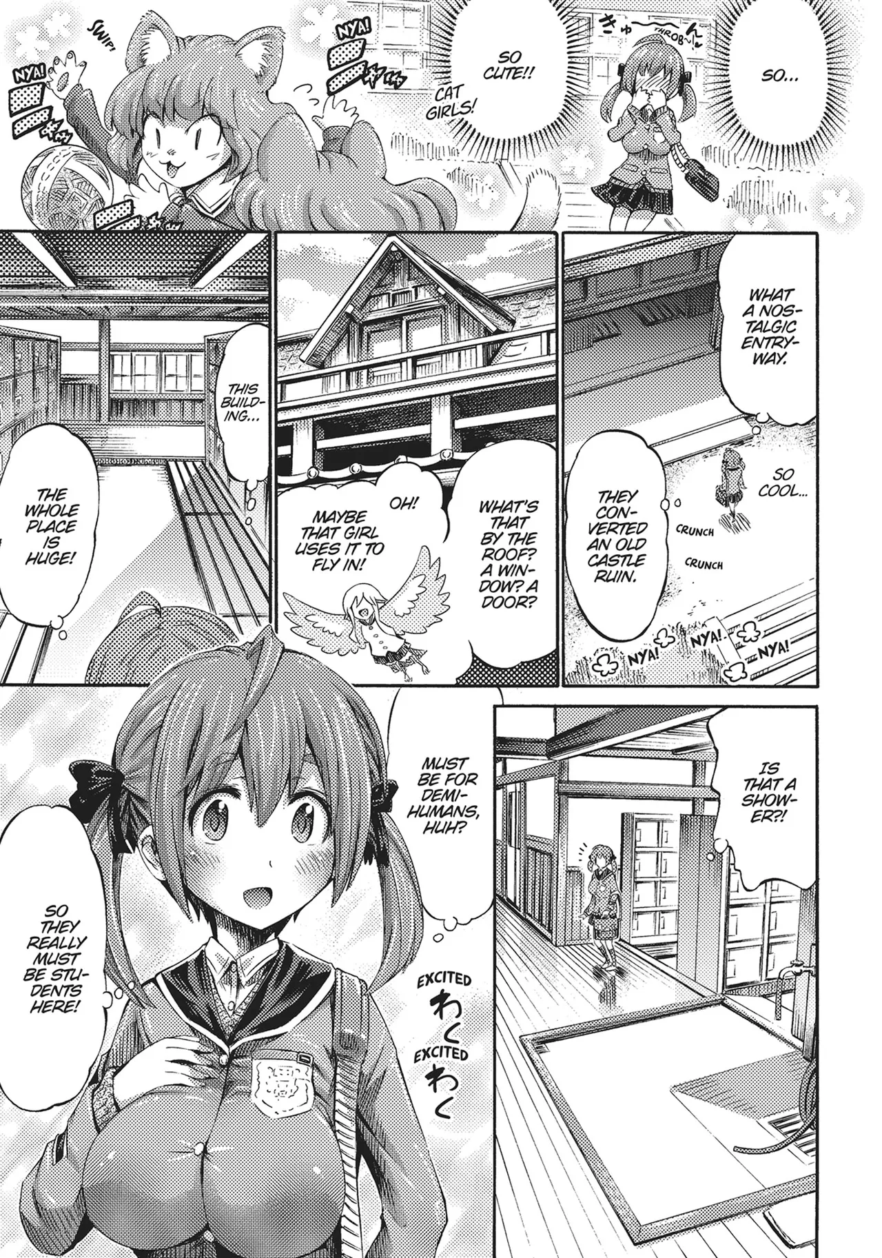 I'm not a succubus! 才不是魅魔呢！1卷 page 12