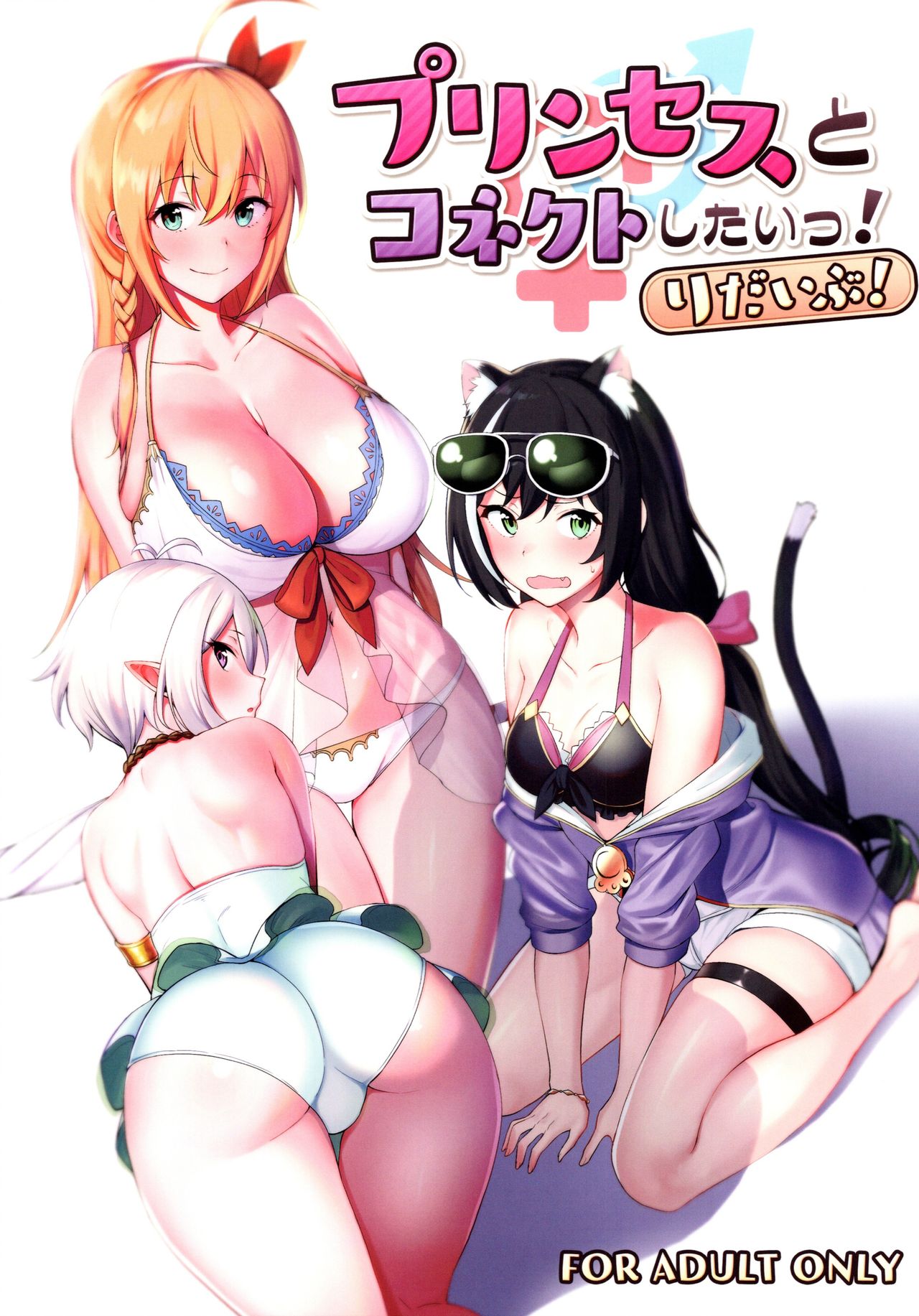 I want to connect with a princess! ReDive! page 1