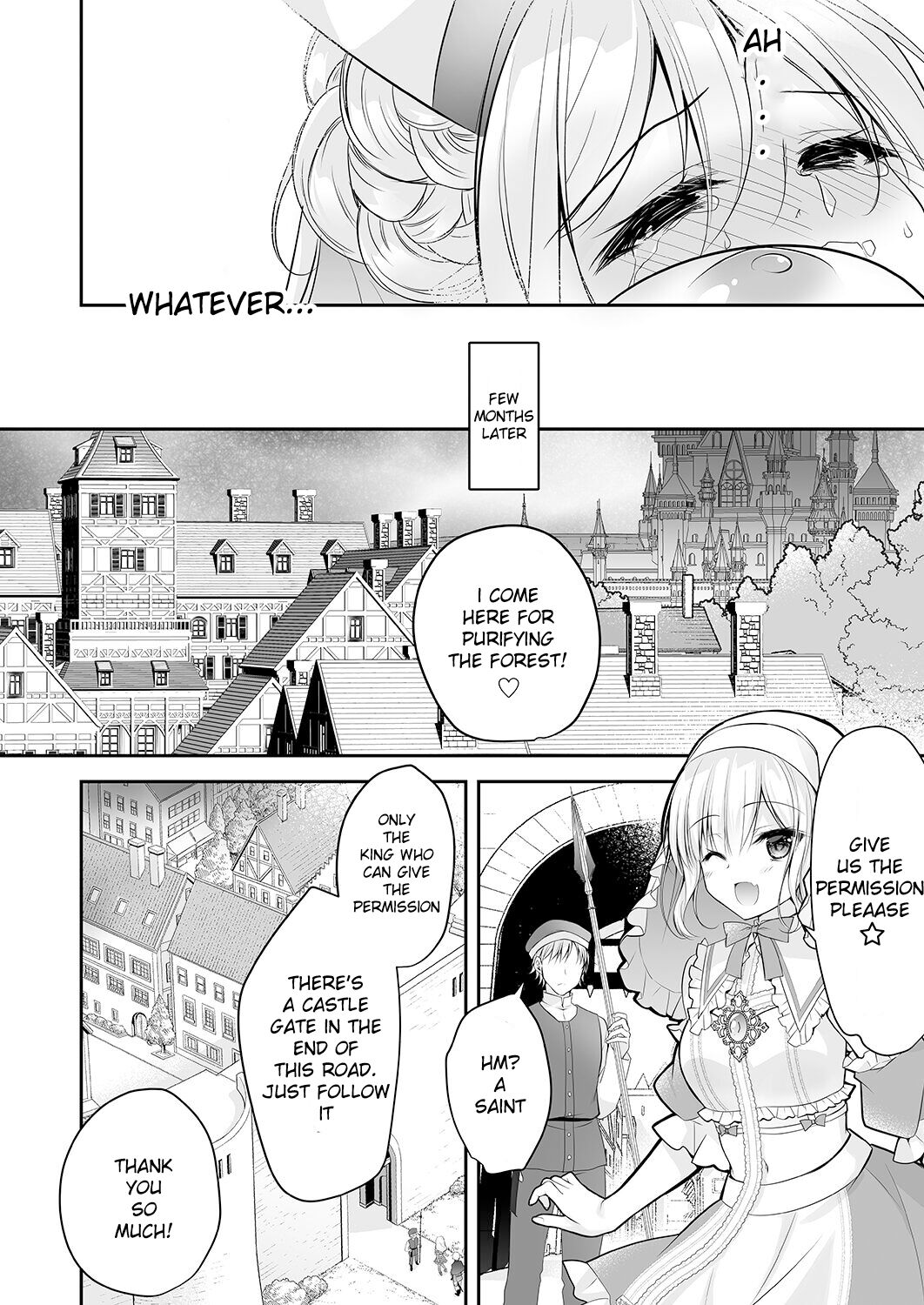 Isekai Gangrape ~brainwashed saint is happy to change her job to become a meat toilet~ page 51