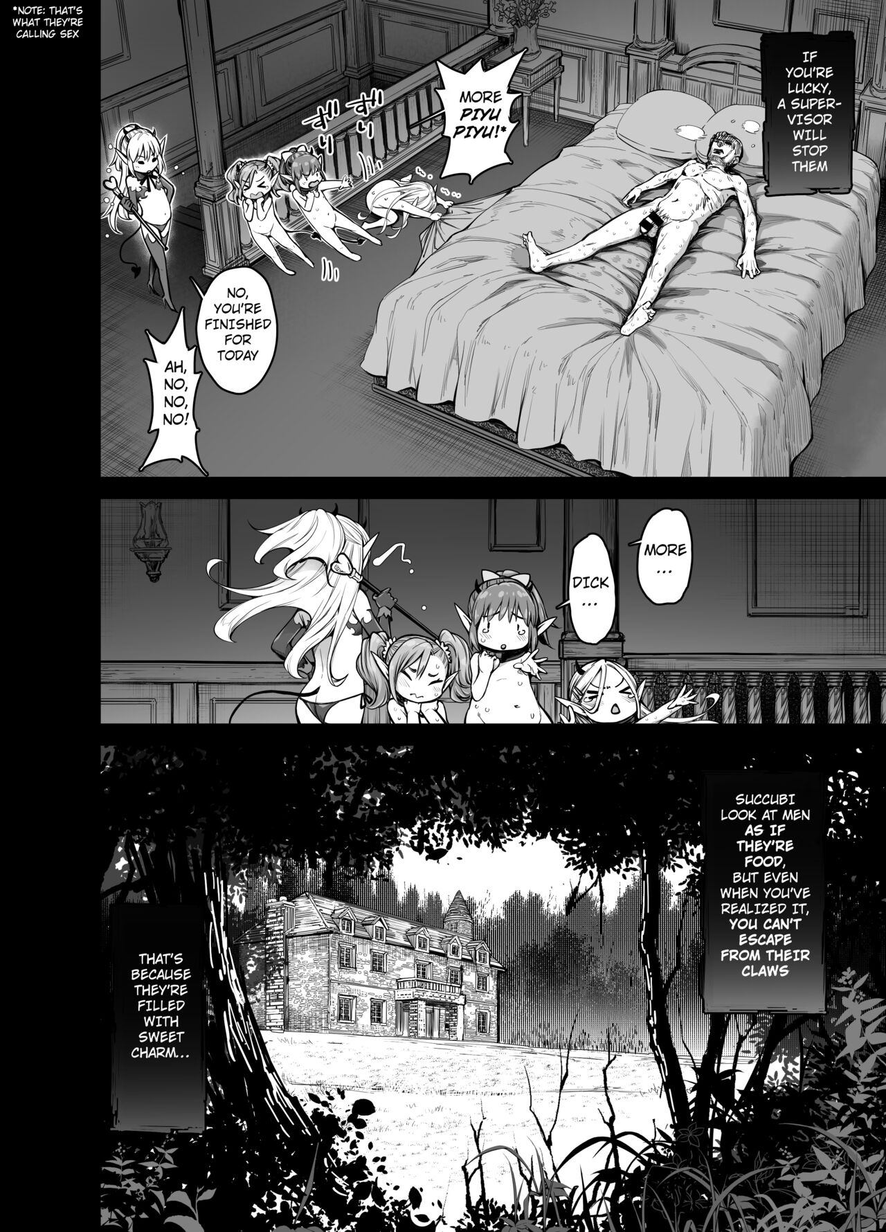 Isekai Kyaradin ni Okeru Succubus no Seitai page 16