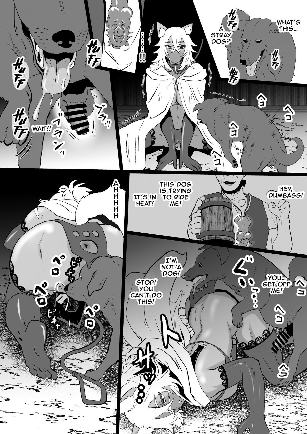 Jinkaku Haisetsu de Kuso Zako Touzoku ni Karada o Ubawareta Ue ni Benri ni Tsukawareta "Gouken no Jorou" Louise page 19