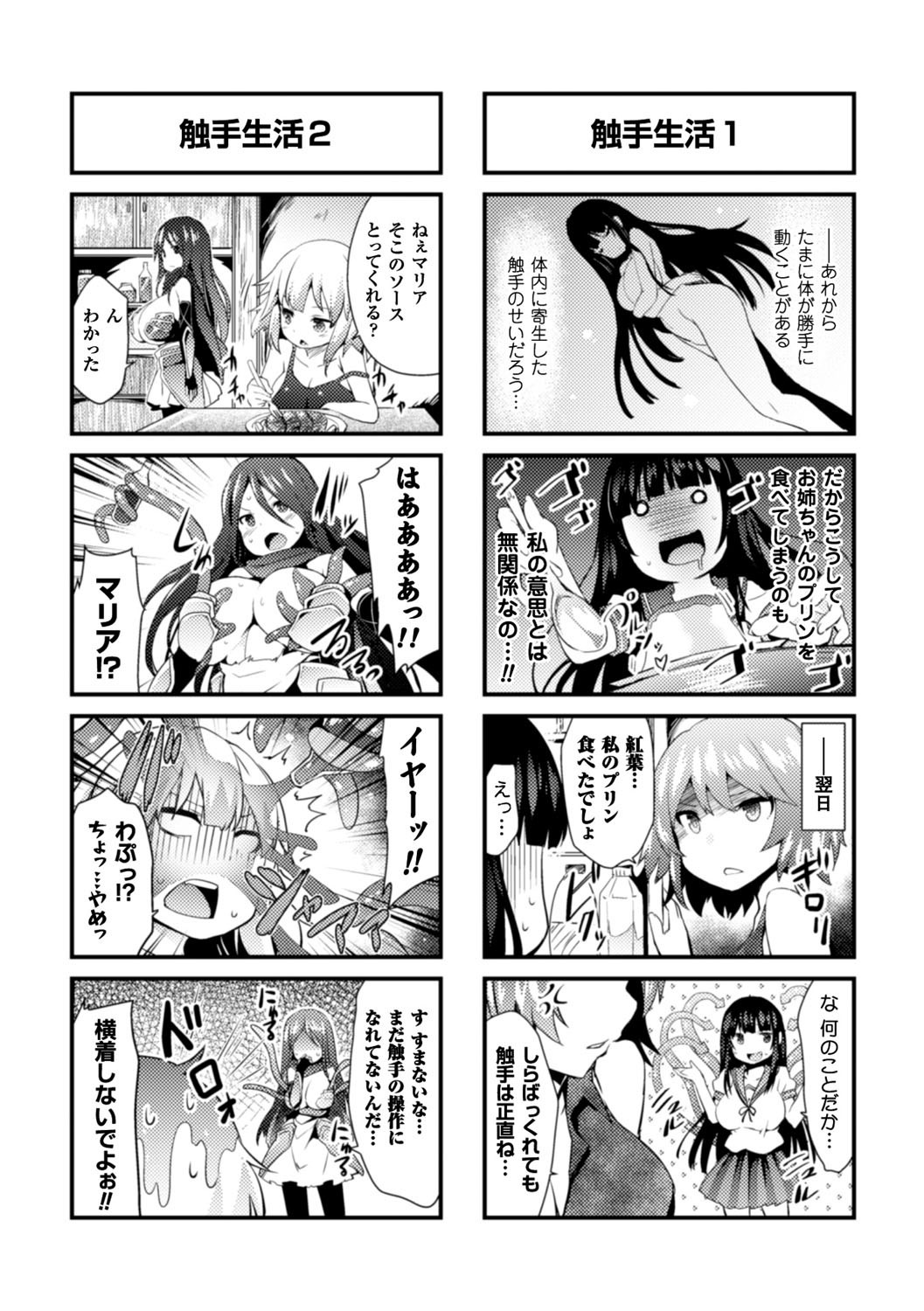 Kairaku Ningyo Ideologie - Sexadoll Ideologie page 167