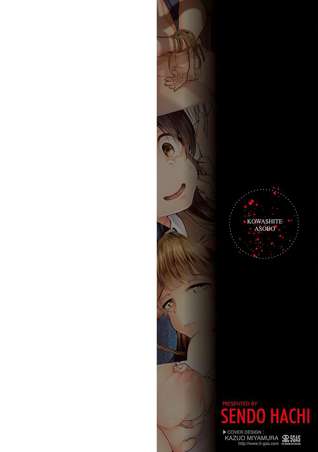 Kowashite Asobo + DLsite Gentei Chara Settei & Plot page 2