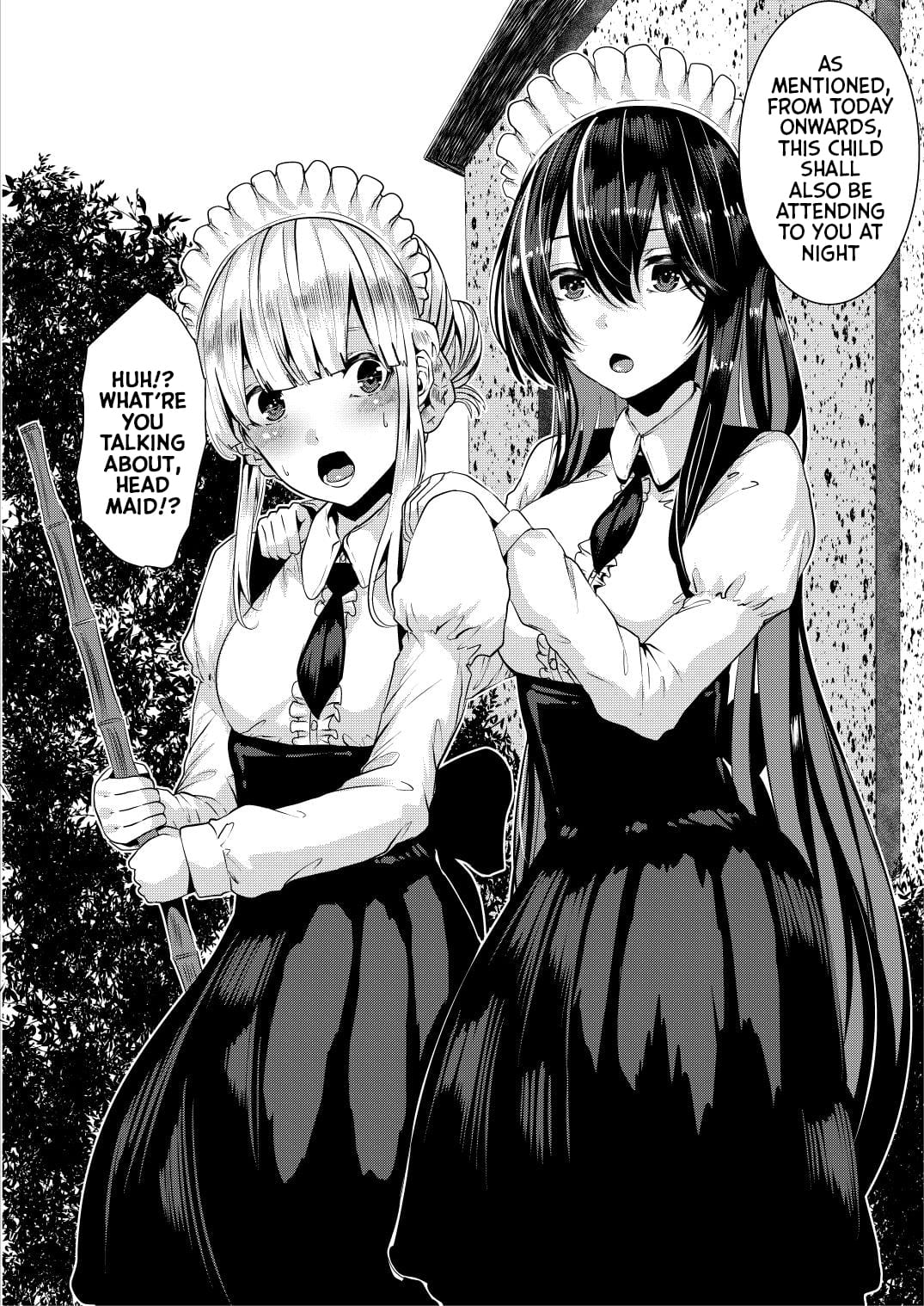 Lots Of Lewd Loving With Both My Warm And Cold Maids page 5