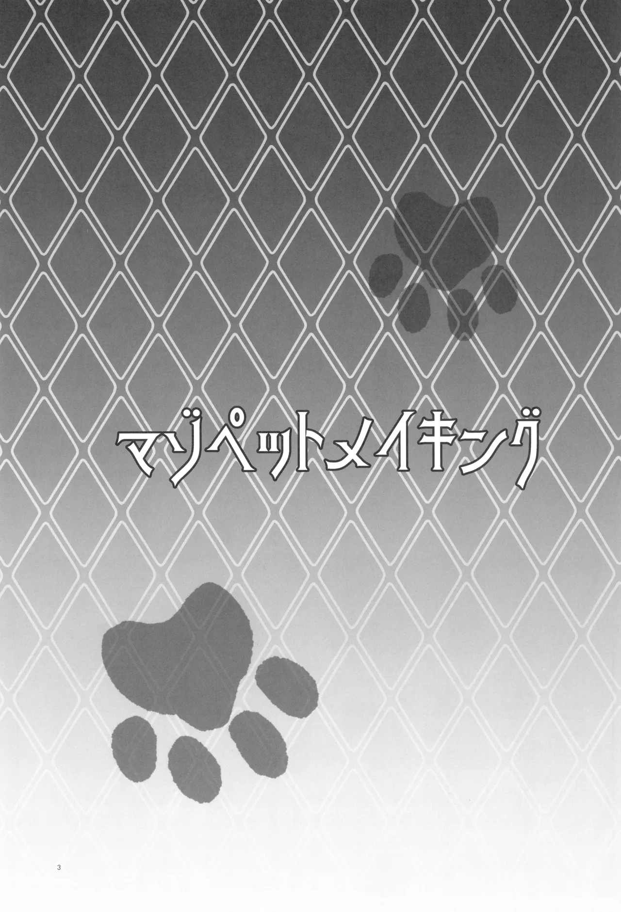 Maso Pet Making + Paper page 2