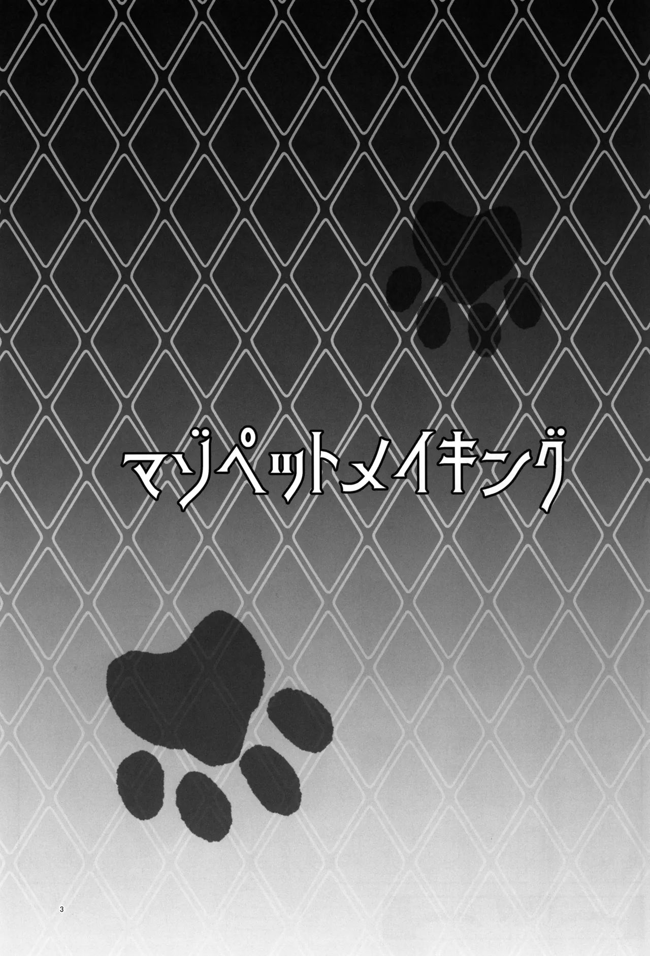 Maso Pet Making + Paper page 3
