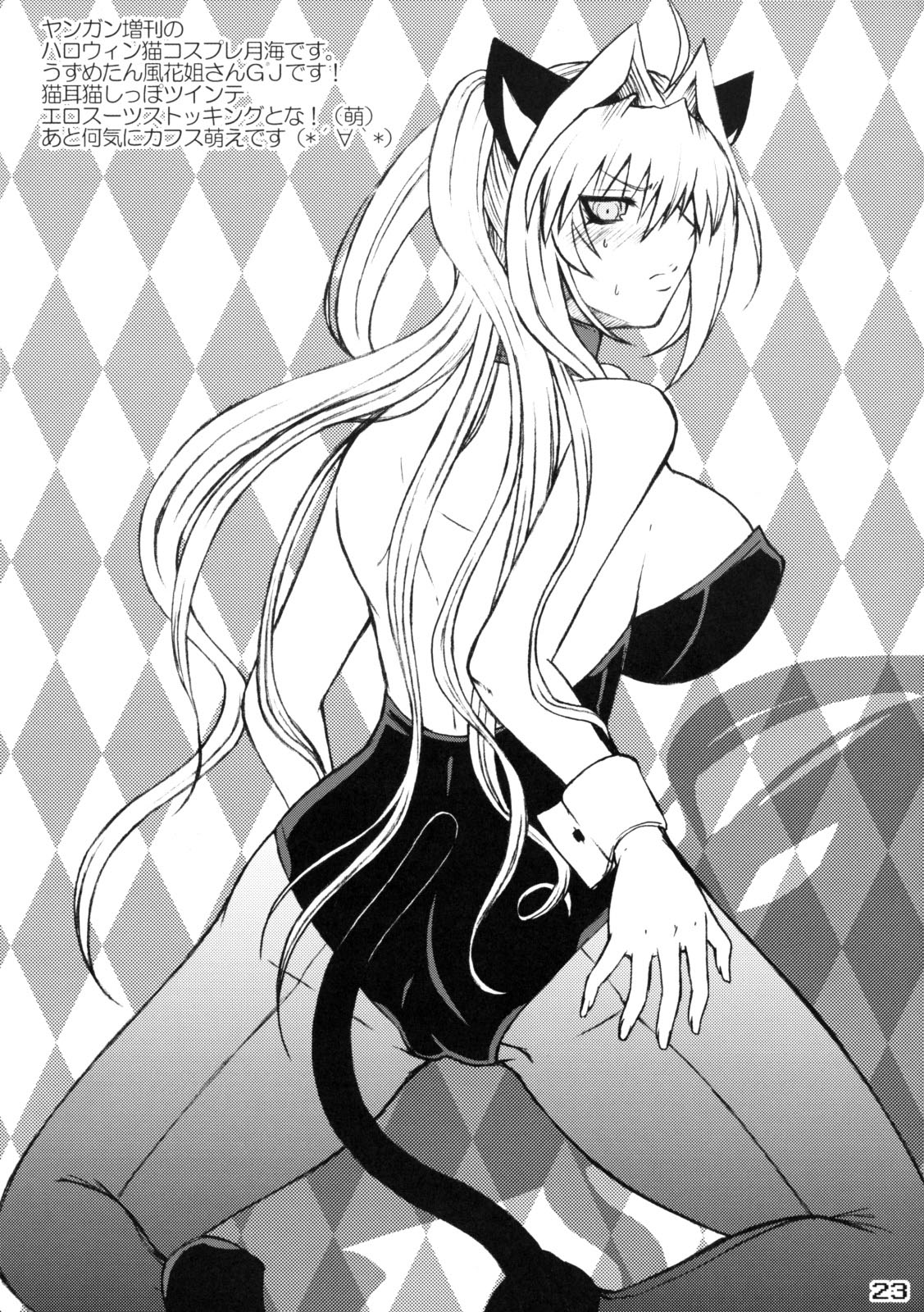 Mizu no Sekirei -Honey Bump Sekirei Tsukiumi Soushuuhen- page 4