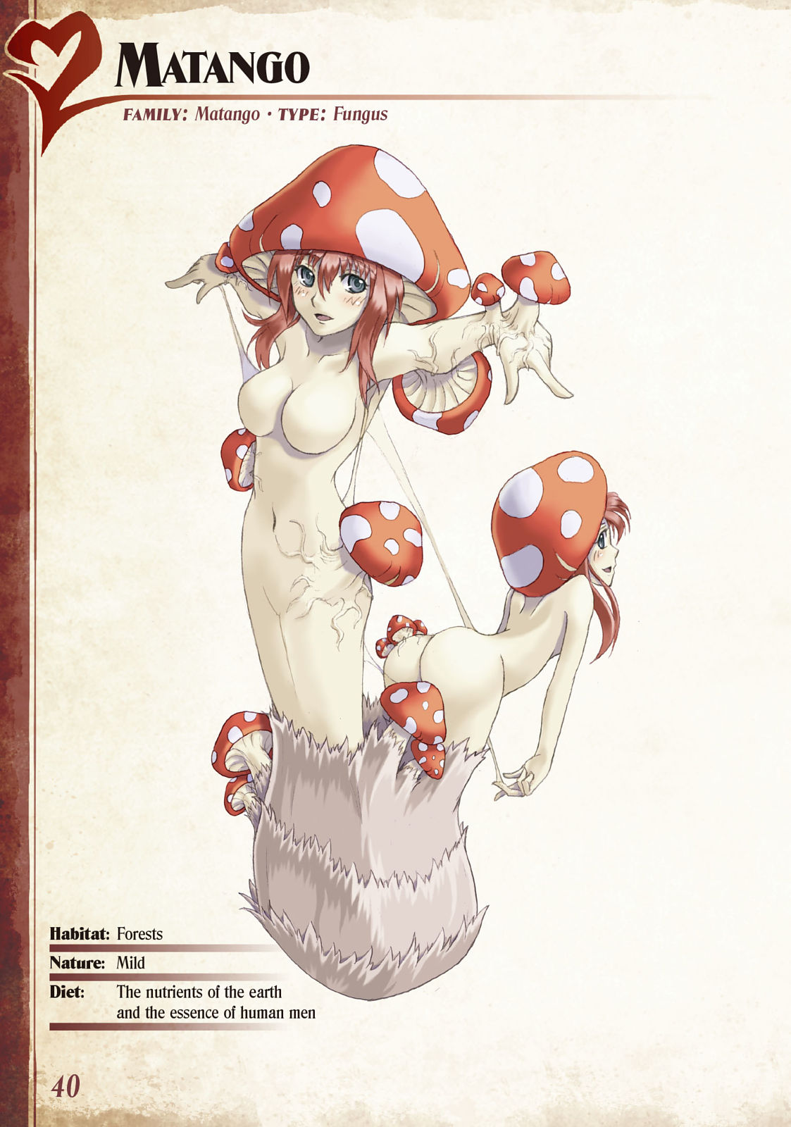 Monster Girl Encyclopedia Vol. 1 page 41