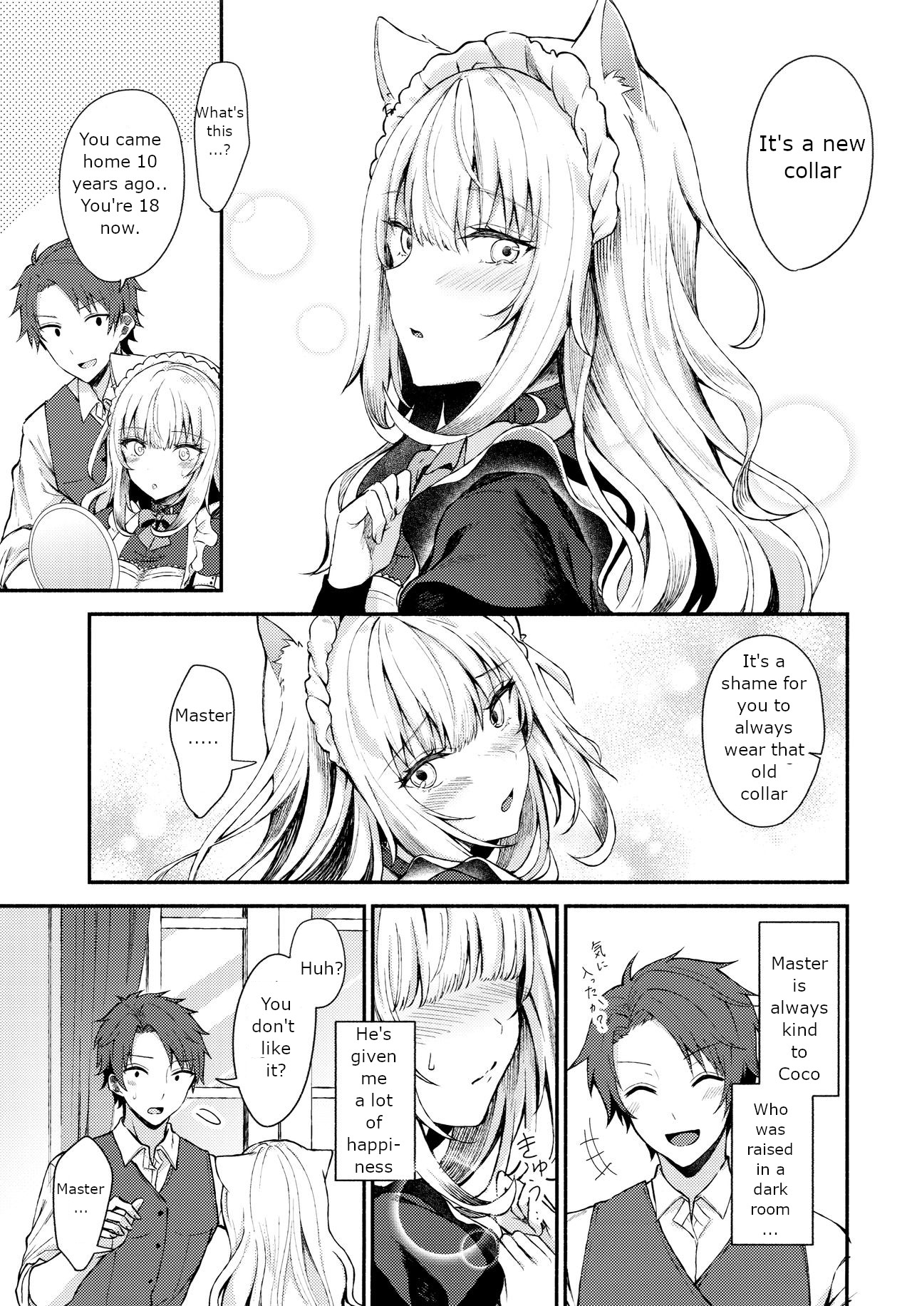 Moto Dorei no Nekomimi Maid to Shiawase Ecchi Suru Hon page 8