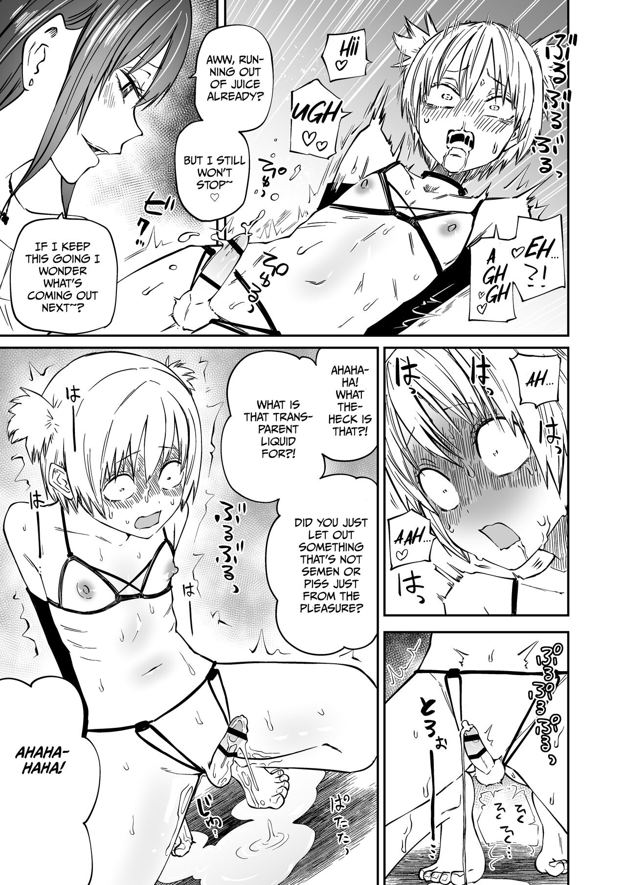 Multiple Pet Owner page 13