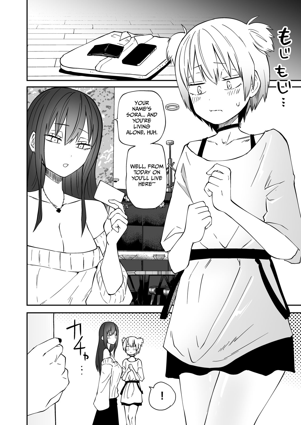 Multiple Pet Owner page 16