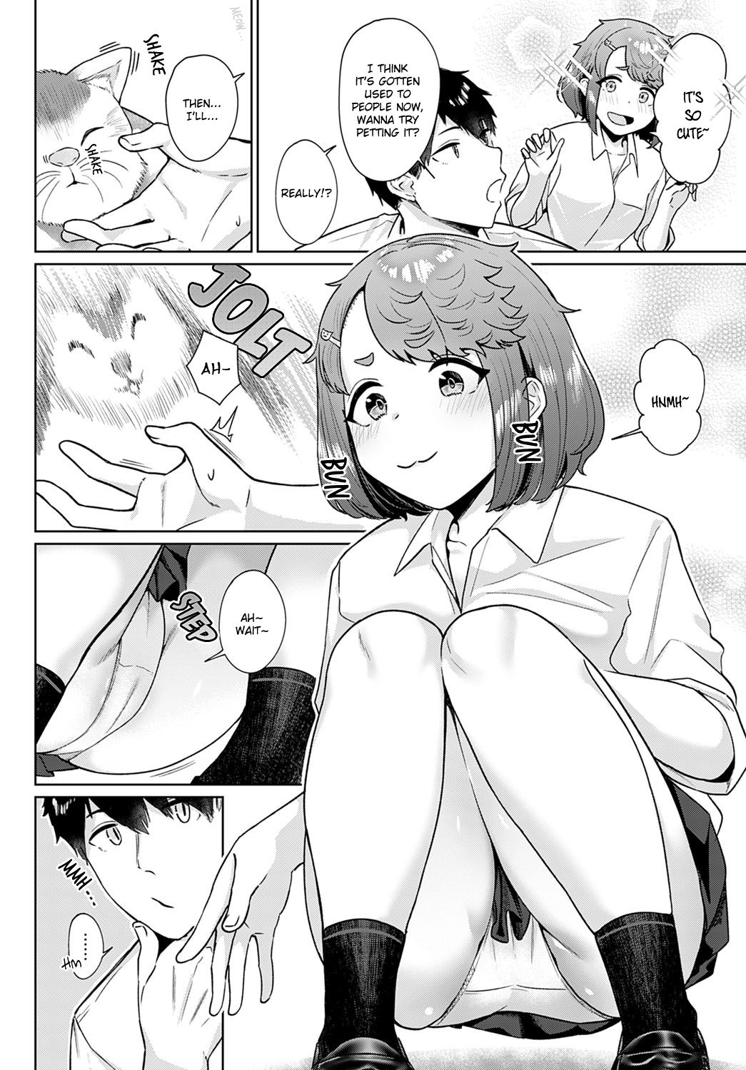 Neko nochi Amayadori page 2