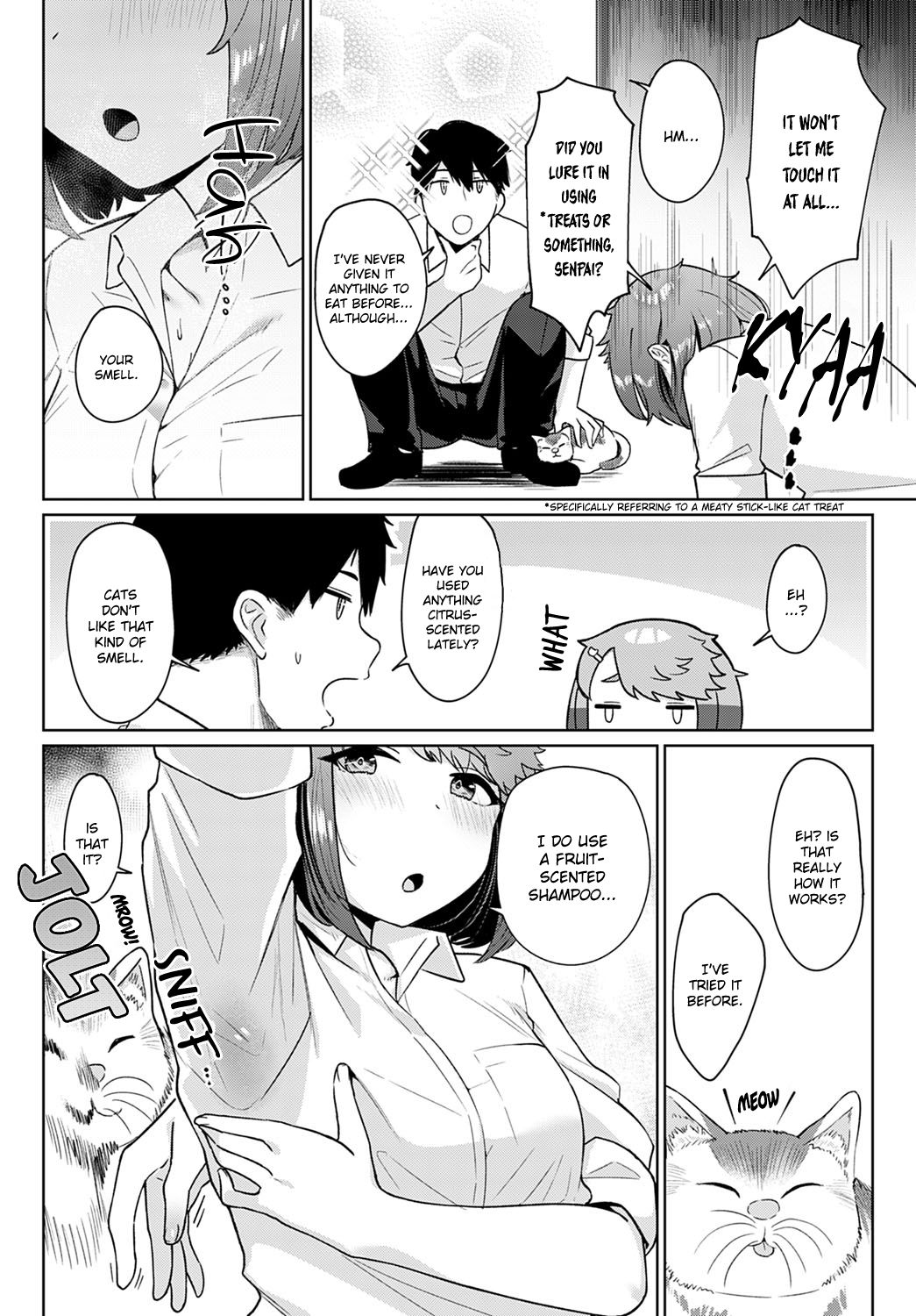 Neko nochi Amayadori page 3