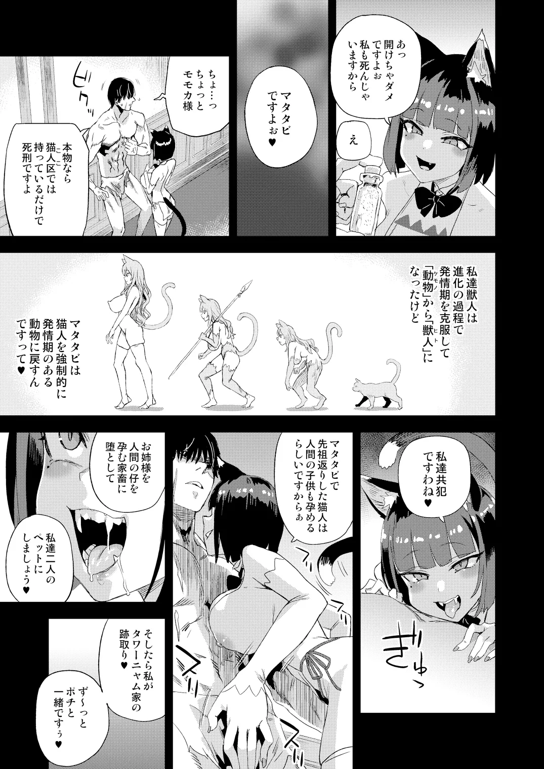 Nekozoku Musume wa Ningen o Kau. - CAT GIRLS KEEP A HUMAN page 12