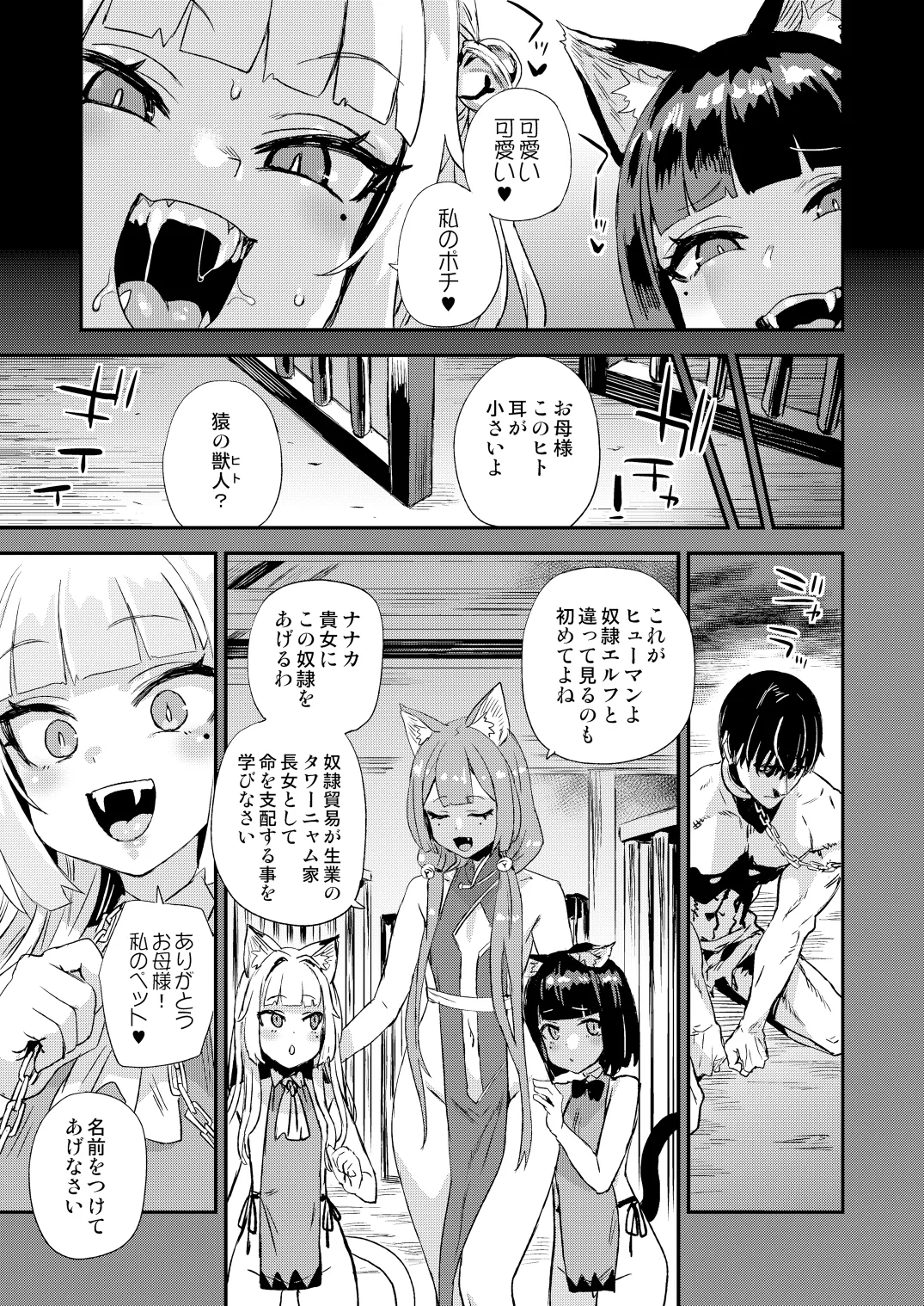 Nekozoku Musume wa Ningen o Kau. - CAT GIRLS KEEP A HUMAN page 4