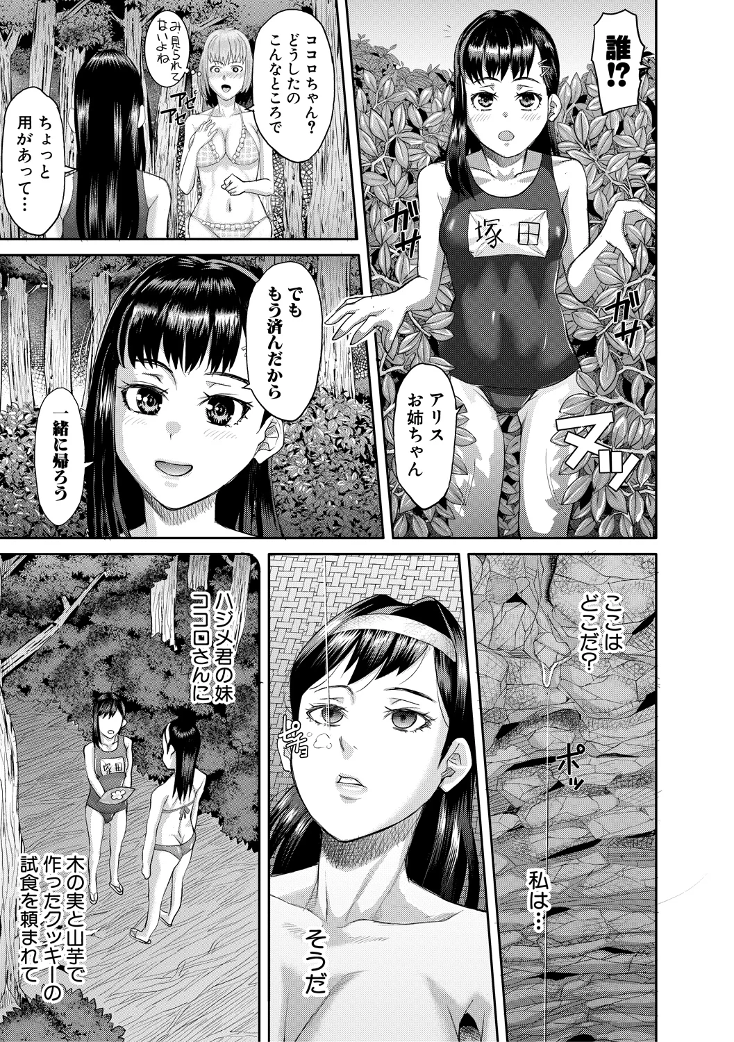 Nikujokujima Juugo Mesubuta Hyouryuuki - 15 MESUBUTA SLAVES FOR KING page 53