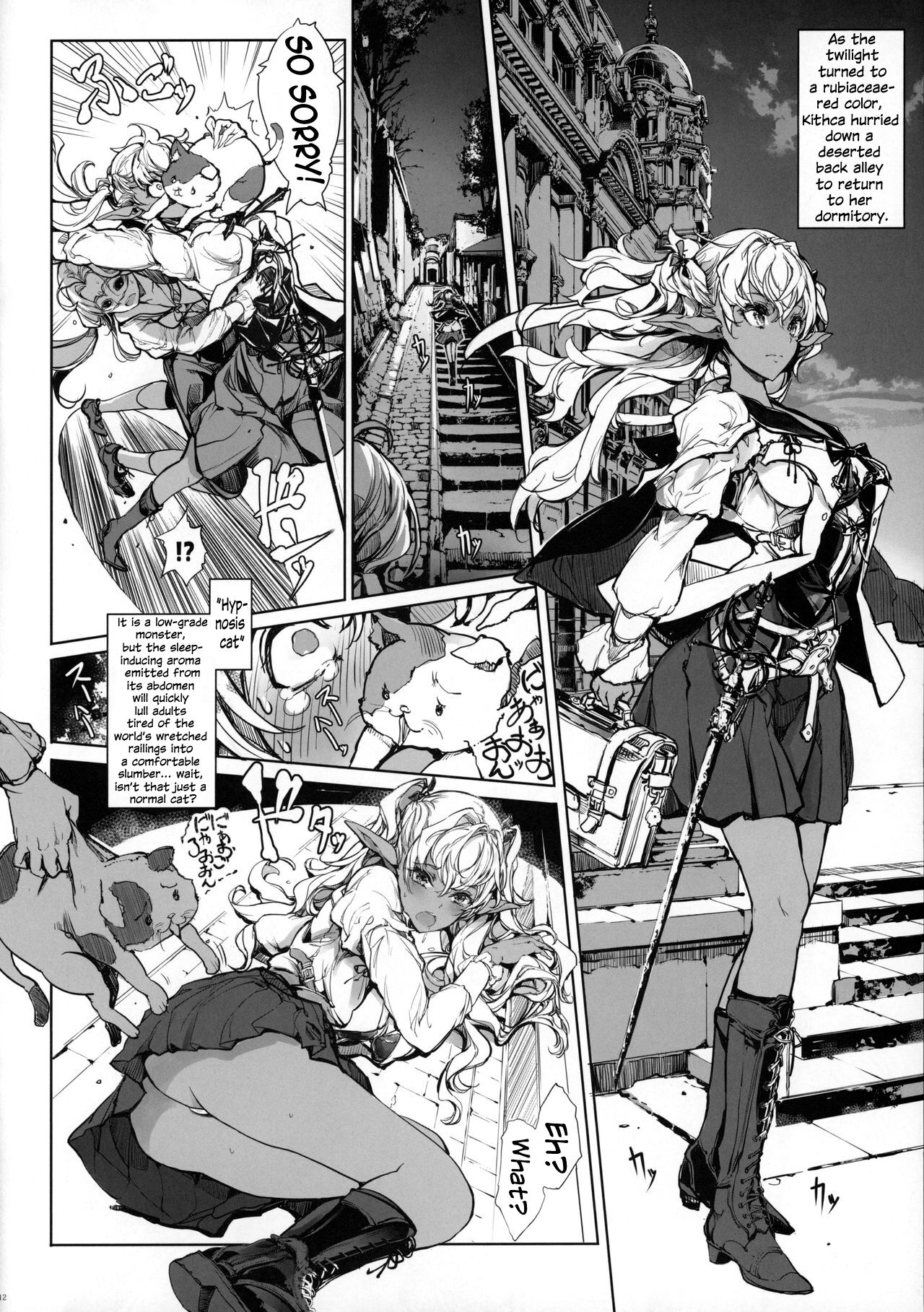 Otome Kishi no Himegoto page 11