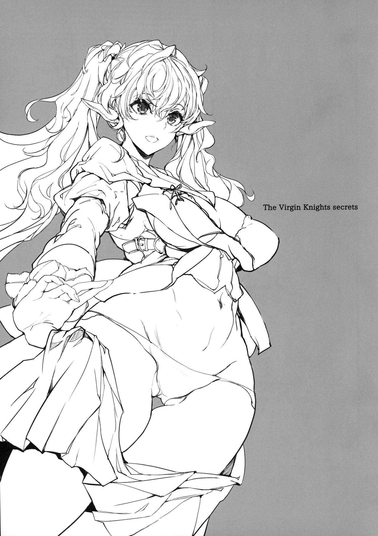 Otome Kishi no Himegoto page 2