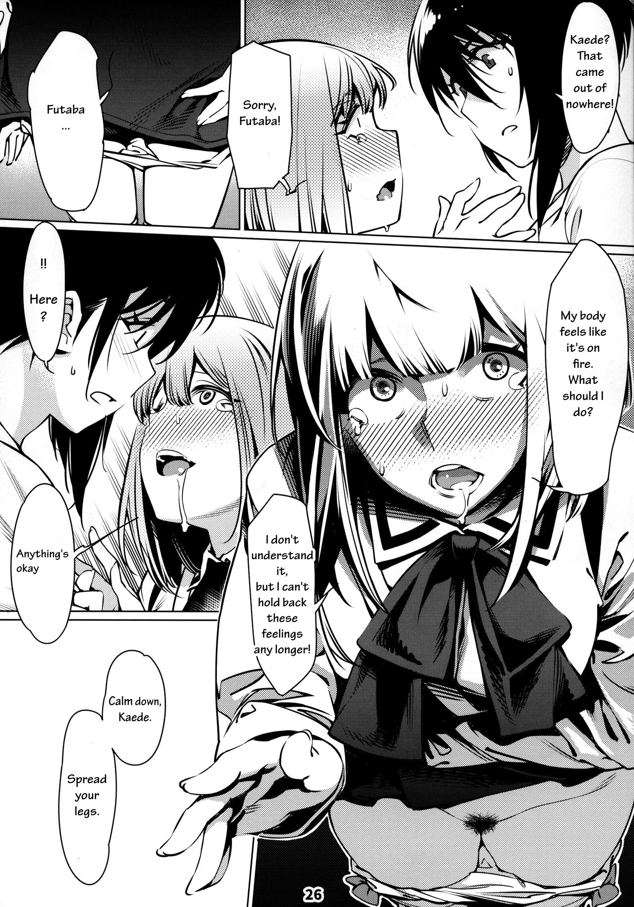 Otonano Omochiya 12 Futaba no Ohanashi Matome 2 page 25